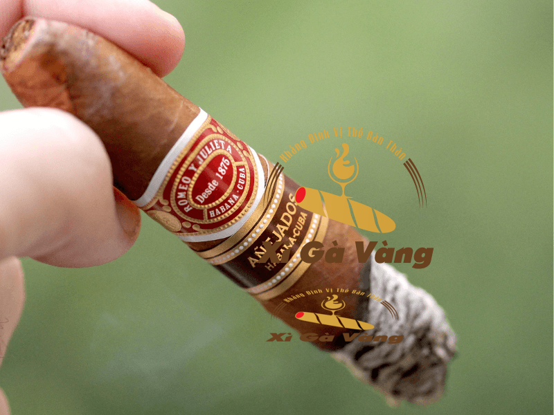 Romeo Y Julieta gây sở hữu hương vị đầy mê hoặc